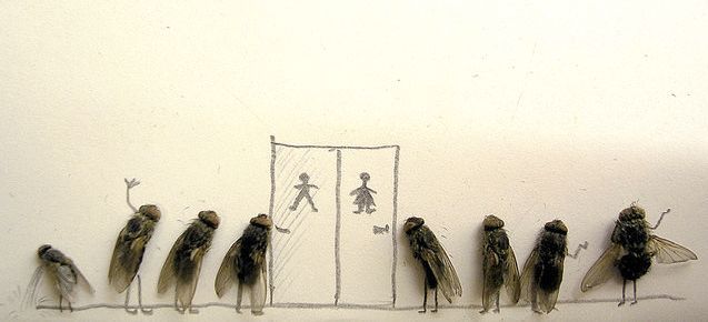 Dead_flies_art_07