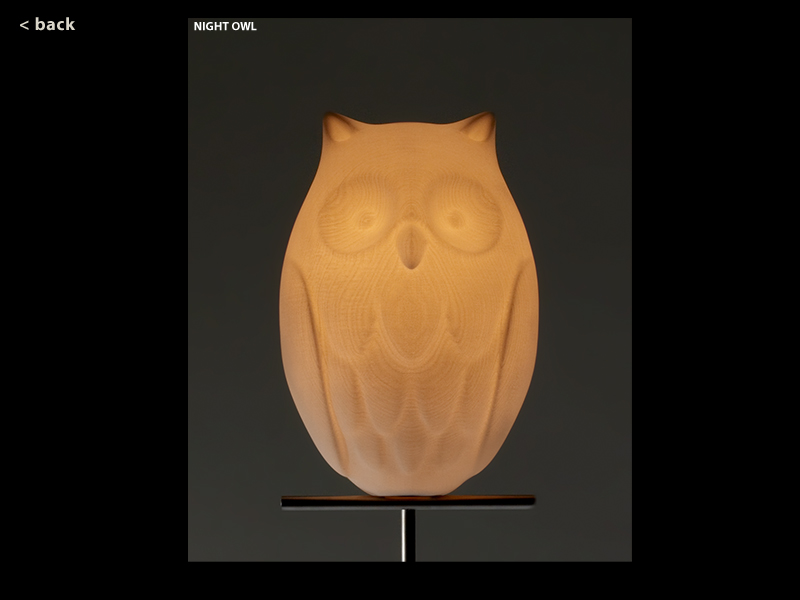 Night_owl_closeup