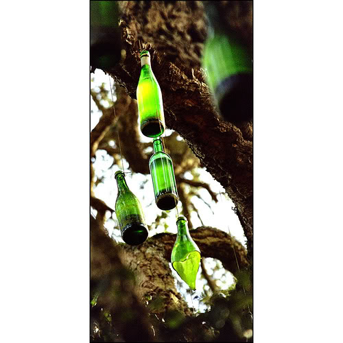 bottle.jpg picture by claireja